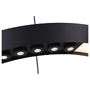 Подвесной светильник Vele Luce Octopus VL10152P06 цвет плафона/подвески Черный, цвет арматуры Черный-4