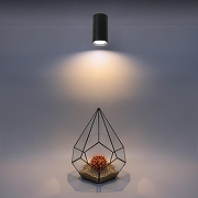 Накладной светильник Wolta BASIC WSL-GU10 WSL-GU10/01BL цвет плафона/подвески Черный, цвет арматуры Черный-4