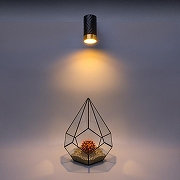 Накладной светильник Wolta LINEA WSL-GU10 WSL-GU10/09BG -6