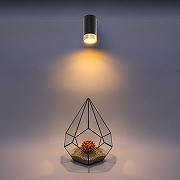 Накладной светильник Wolta CELLA WSL-GU10 WSL-GU10/10BG цвет плафона/подвески Золото, Черный, цвет арматуры Черный-6