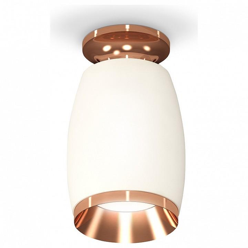 Накладной светильник Ambrella Light XS XS1122045 