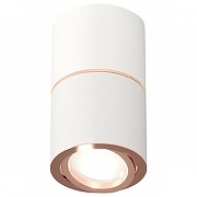 Накладной светильник Ambrella Light XS XS7401220 цвет Белый, Бронза