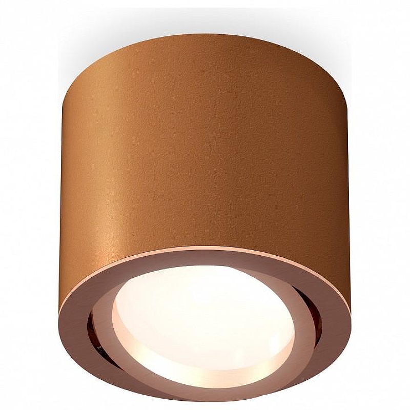 Накладной светильник Ambrella Light XS XS7404002 