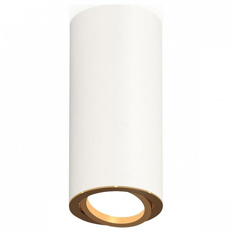 Накладной светильник Ambrella Light XS XS7442004 