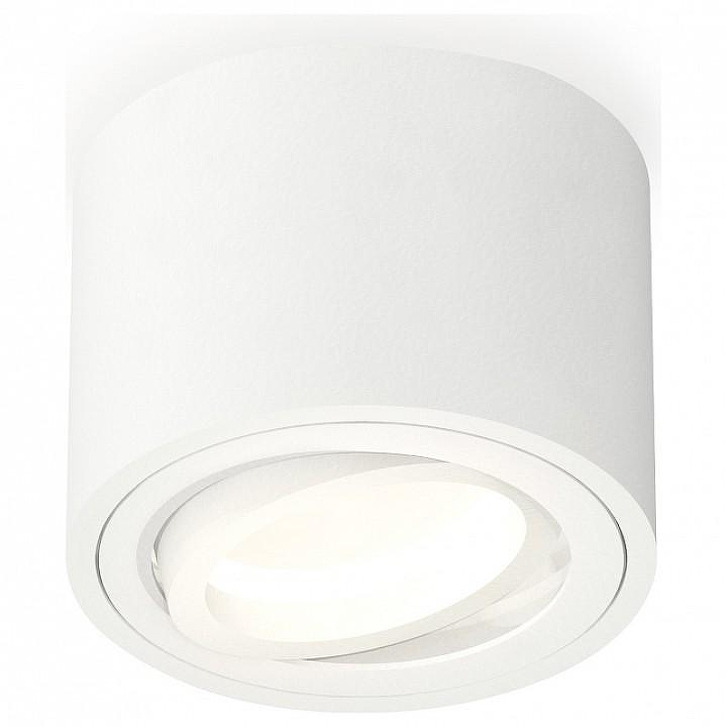 Накладной светильник Ambrella Light XS XS7510001 