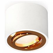Накладной светильник Ambrella Light XS XS7510004 цвет Белый, Золото