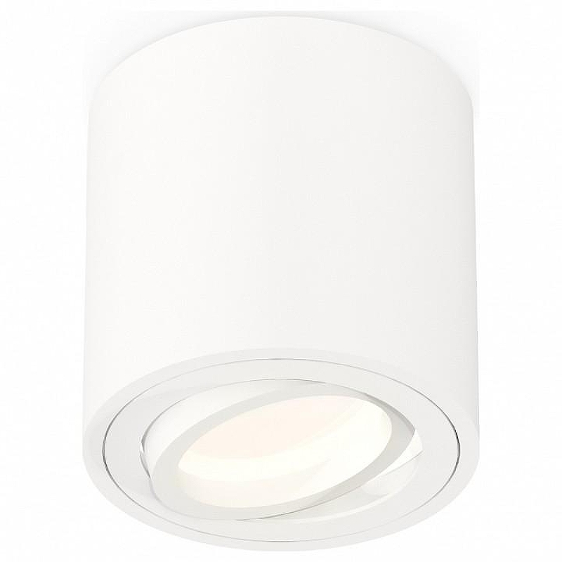 Накладной светильник Ambrella Light XS XS7531001 