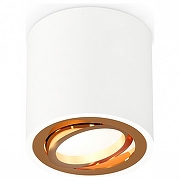 Накладной светильник Ambrella Light XS XS7531004 цвет Белый, Золото