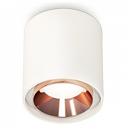 Накладной светильник Ambrella Light XS XS7722005 цвет Бронза, Белый