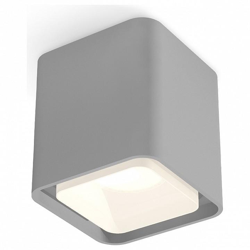 Накладной светильник Ambrella Light XS XS7842010 