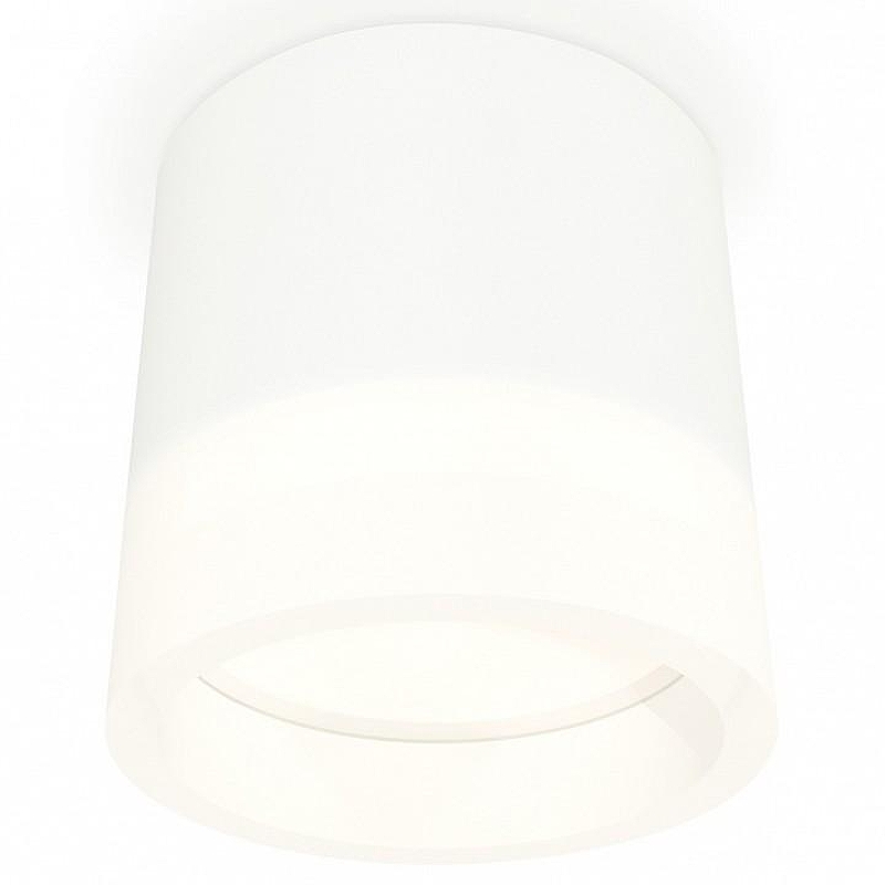 Накладной светильник Ambrella Light XS XS8110001 