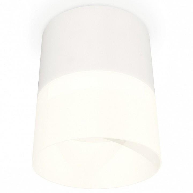 Накладной светильник Ambrella Light XS XS8110002 