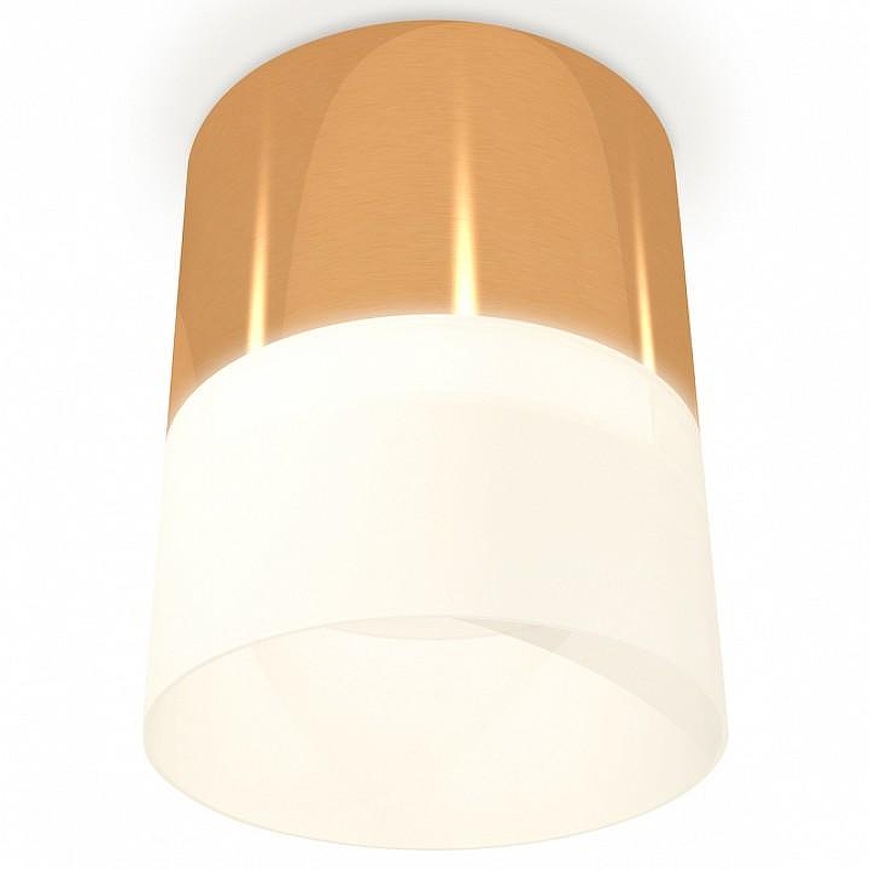 Накладной светильник Ambrella Light XS XS8121011 