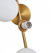 Бра Zortes Blume ZRS.1895.03 цвет плафона/подвески Белый, цвет арматуры Латунь-8