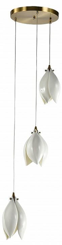 Подвесной светильник Zortes Dalin ZRS.90609.03 