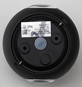 Накладной светильник Эра WL11 Б0034609 цвет плафона/подвески Черный, цвет арматуры Черный-1