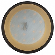 Накладной светильник Эра OL8 GX53 BK/GD Б0048539 цвет плафона/подвески Золото, Черный, цвет арматуры Черный-4