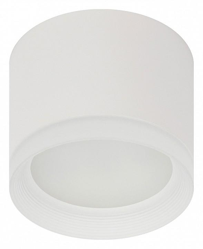 Накладной светильник Эра OL17 GX53 WH Б0049044 