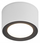 Накладной светильник Эра OL28 WH/BK Б0055581 цвет плафона/подвески Белый, цвет арматуры Белый