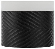 Накладной светильник Эра OL38 BK Б0056386 цвет плафона/подвески Черный, цвет арматуры Черный-2