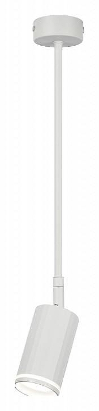 Светильник на штанге Эра OL43 WH Б0058489 