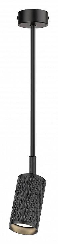 Светильник на штанге Эра OL45 BK Б0058498 