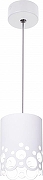 Подвесной светильник Эра PL23 WH Б0059809 цвет плафона/подвески Белый, цвет арматуры Белый-2