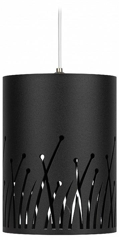 Подвесной светильник Эра PL30 BK Б0061408 