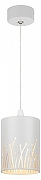Подвесной светильник Эра PL30 WH Б0061409 цвет плафона/подвески Белый, цвет арматуры Белый-2