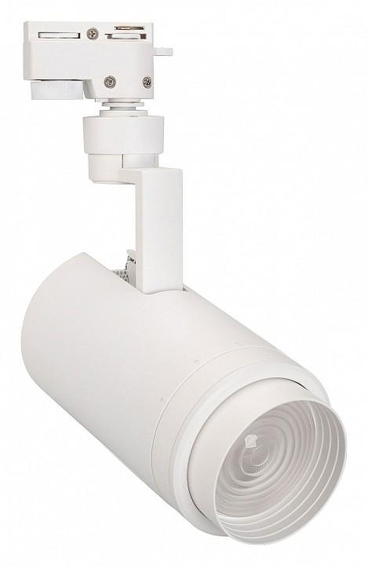 Светильник на штанге Arlight ZEUS 025914(1) 