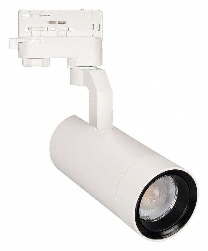 Светильник на штанге Arlight GEL1OS 031216 