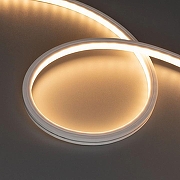 Светодиодная лента Arlight THOR 042072 IP 67
