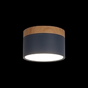 Накладной светильник Loft it Grape 10162 Blue цвет плафона/подвески Голубой, цвет арматуры Коричневый-1