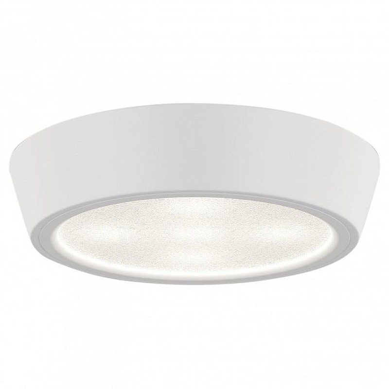 Накладной светильник Lightstar Urbano 214904 