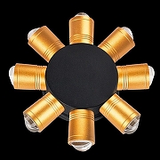 Накладной светильник Lightstar D1to 380683 цвет арматуры Золото, Черный-1