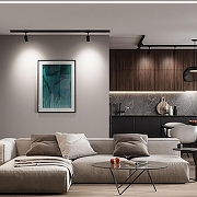 Светильник на штанге Feron AL103 41602 цвет черный-4