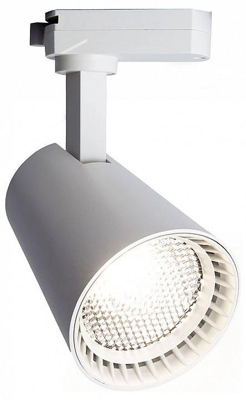 Светильник на штанге Feron AL100 41605 