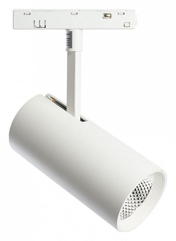 Светильник на штанге Feron MGN303 41945 