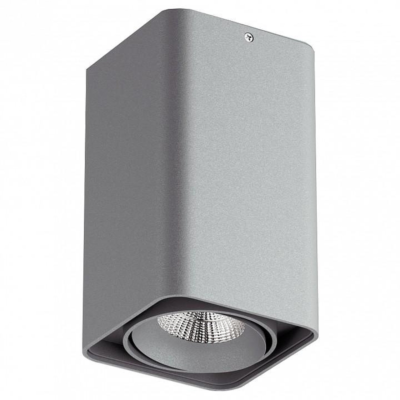 Накладной светильник Lightstar Monocco 52139 