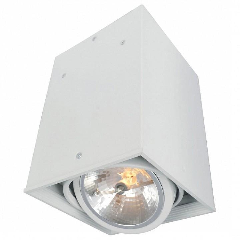 Накладной светильник Artelamp Cardan1 A5936PL-1WH 