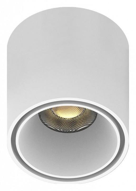 Накладной светильник Aployt Magnetic track 48 APL.0109.10.06 