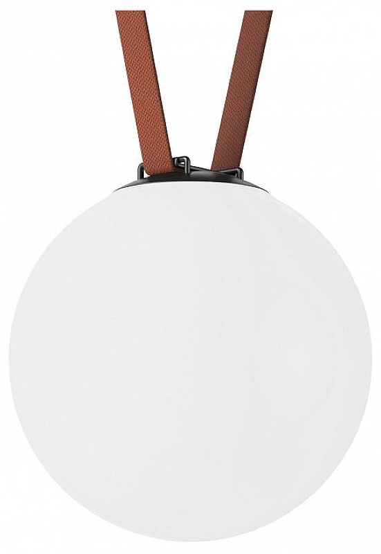 Накладной светильник Denkirs Belty Orb DK5554-BK 