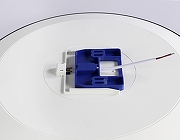 Накладной светильник Ambrella Light FZ FZ1226 цвет плафона/подвески Белый, цвет арматуры Черный-3