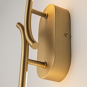 Бра Maytoni Rena1ssance MOD256WL-L5BS3K1 цвет плафона/подвески Латунь, цвет арматуры Латунь-8