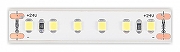 Светодиодная лента ST-Luce ST1001 ST1001.414.65 IP 65