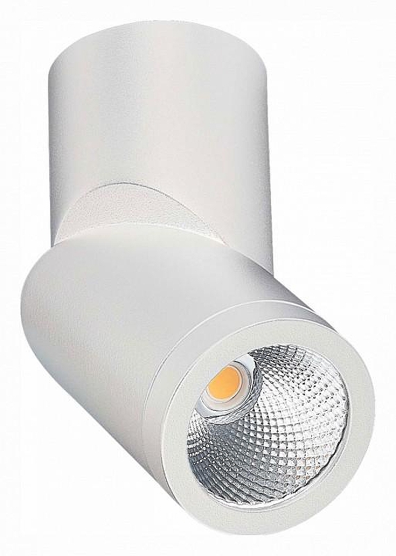 Светильник на штанге ST-Luce ST650 ST650.542.10 