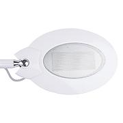 Настольная лампа офисная Uniel TLD-547 UL-00002342 цвет плафона/подвески Белый, цвет арматуры Белый-10