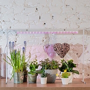 Светильник для растений Uniel ULI-P12 UL-00007513 цвет плафона/подвески Прозрачный, цвет арматуры Белый-12