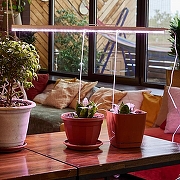 Светильник для растений Uniel ULI-P UL-00010527 цвет Белый-5