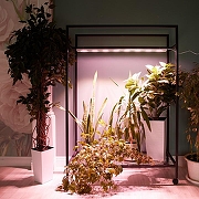 Светильник для растений Uniel ULI-P UL-00011264 цвет Белый-9